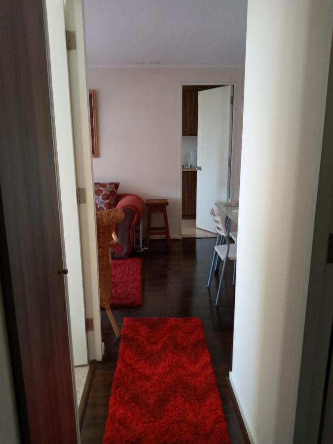 Plaza Brintrup Apartment Puerto Varas Ngoại thất bức ảnh